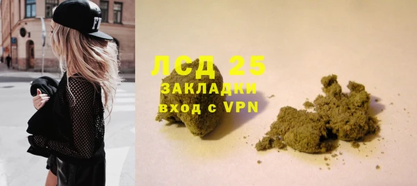 мдпв Гусев