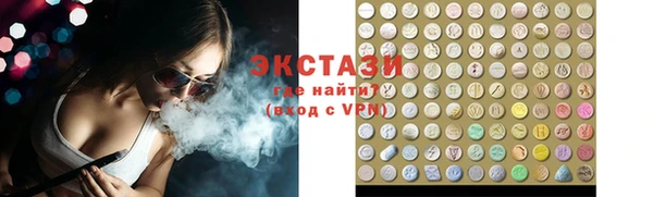 мдпв Гусев