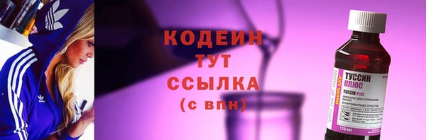 мдпв Гусев
