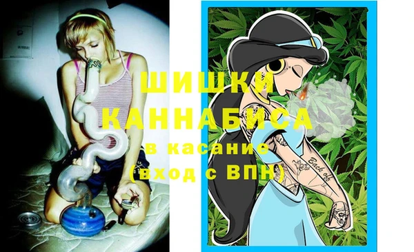 дмт Гусиноозёрск