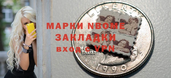 мдпв Гусев