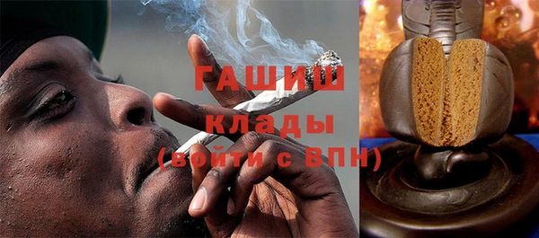 мдпв Гусев
