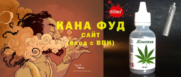 мдпв Гусев