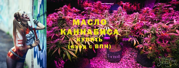 мдпв Гусев