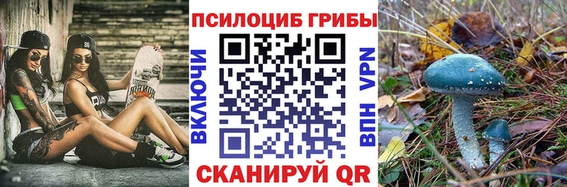 Псилоцибиновые грибы мицелий Донецк